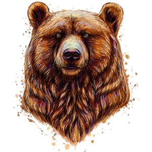 Bear Membership