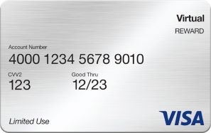 Visa Reward Card